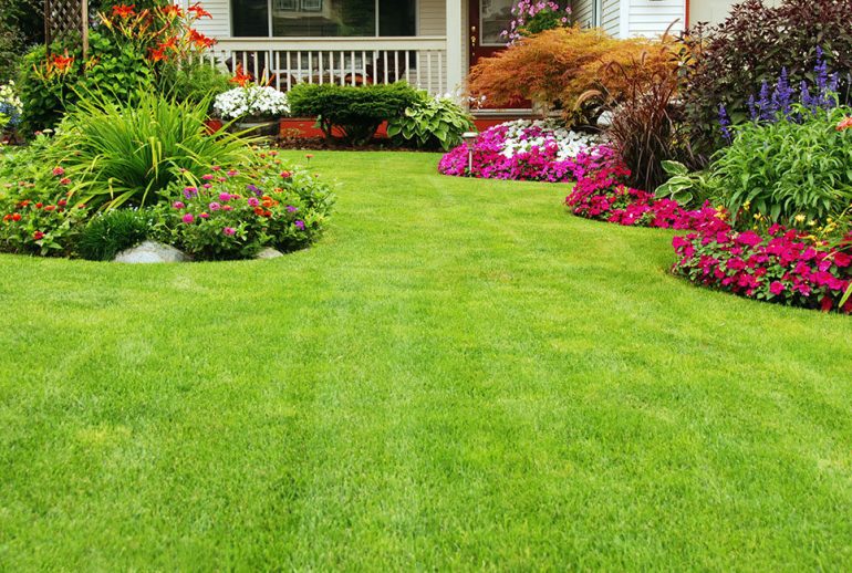 HOA lawn care